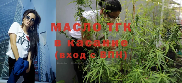 крисы Верхний Тагил