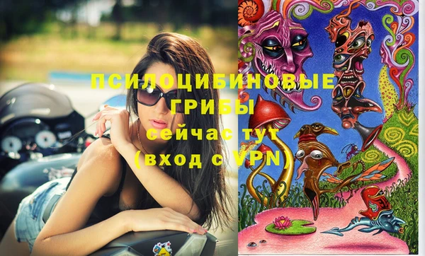 крисы Верхний Тагил