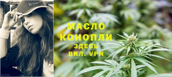 крисы Верхний Тагил