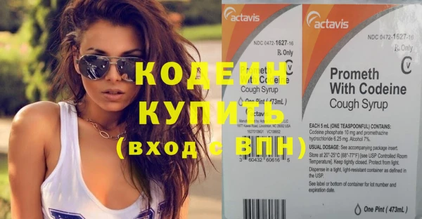 крисы Верхний Тагил